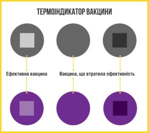 Що перевірити, коли йдете вакцинуватись від дифтерії і правця